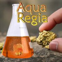 Aqua regia - Regal Water Royal Water - The King's Water